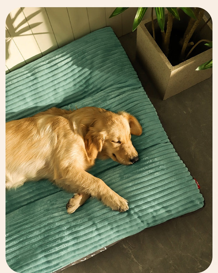 Materasso Letto Impermeabile e Lavabile per Cani - Comfort e Pulizia Facile Scuccia™