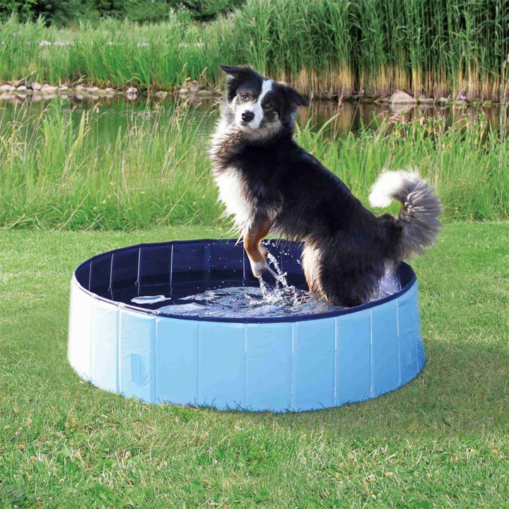 Piscina Pieghevole per Cani e Animali Domestici - Vasca Robusta e Portatile per Gioco e Bagno Scuccia™