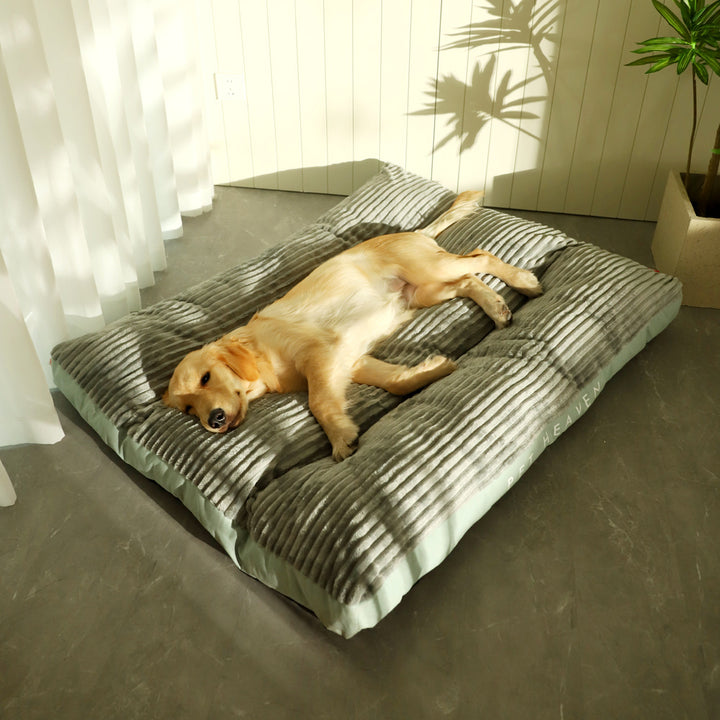 Materasso Letto Impermeabile e Lavabile per Cani - Comfort e Pulizia Facile Scuccia™