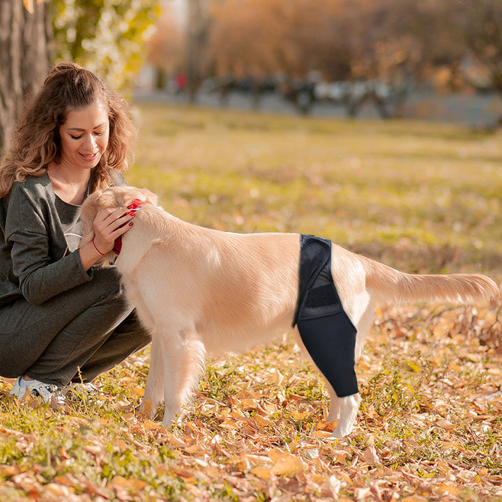 Ginocchiera per Cani - Supporto Articolare, Sollievo dal Dolore e Stabilità Scuccia™