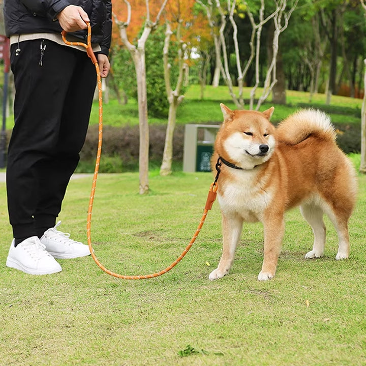 Guinzaglio per Cani con Maniglia Antiscivolo - Resistente e Sicuro, Gancio in Lega di Zinco Scuccia™