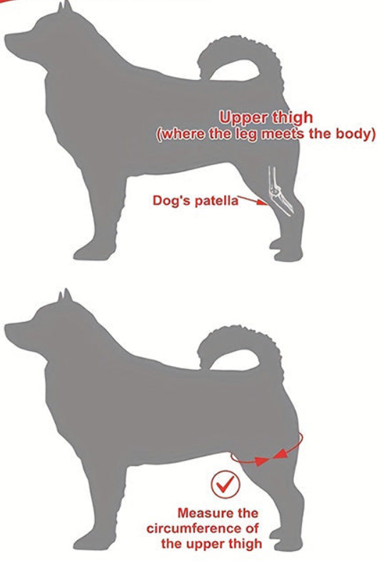 Ginocchiera per Cani - Supporto Articolare, Sollievo dal Dolore e Stabilità Scuccia™