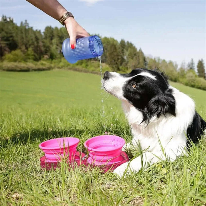 Ciotola Portatile per Crocchette e Acqua - Ideale per Viaggi e Passeggiate con Animali Scuccia™